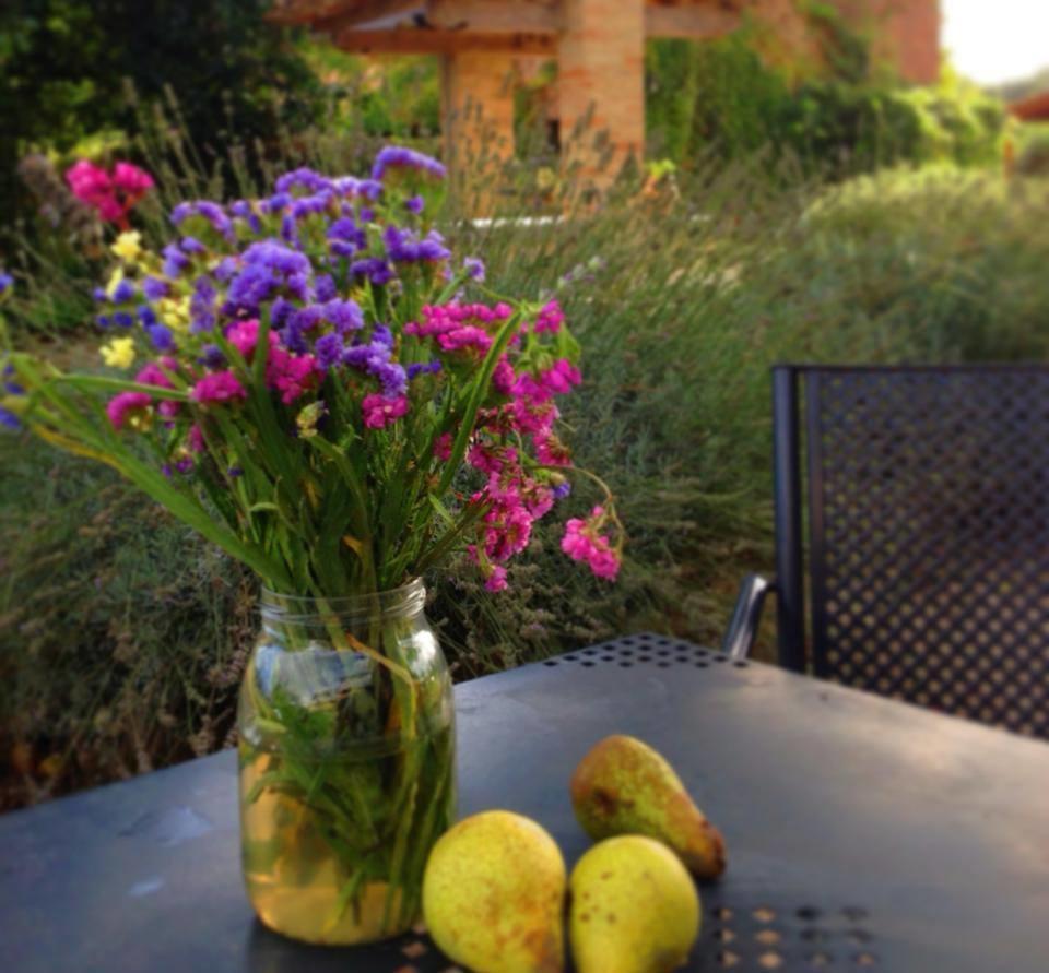 Agriturismo Pian Del Tevere Torgiano Dış mekan fotoğraf